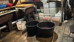 Скупщиков красной икры и лосося задержали на Сахалине