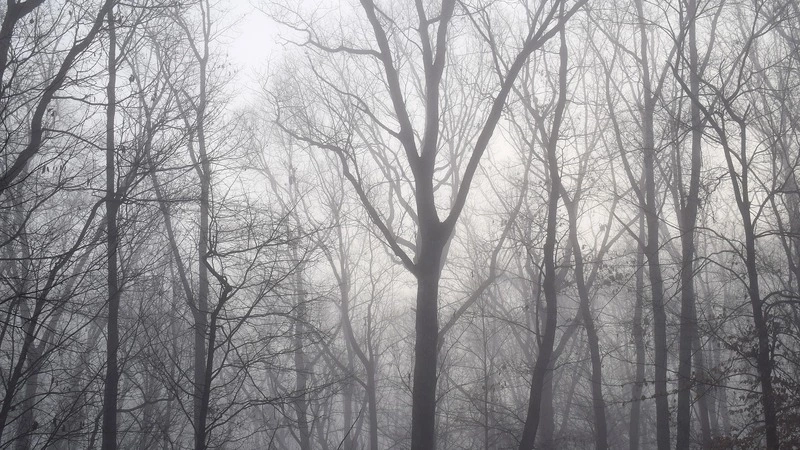 Дожди и туманы ждут Сахалин. Курилам обещают солнце и ливни