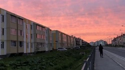 Житель Дальнего украл чемодан у забывчивой соседки