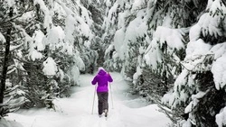Призовой фонд сахалинского лыжного марафона памяти Фархутдинова составит 3,5 млн