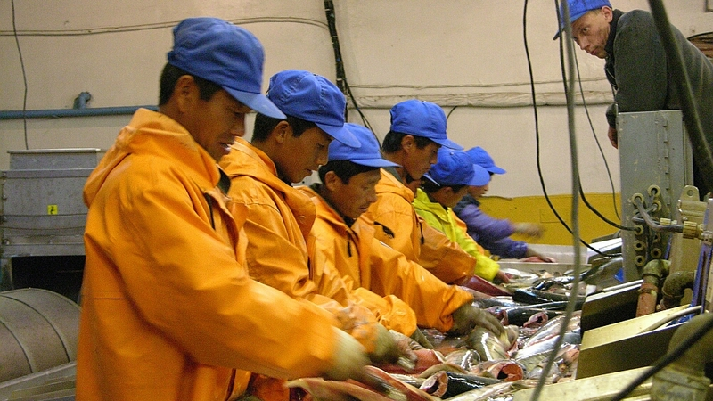 Власти помогут решить проблемы «Армсахстроя» и рыбокомбината «Островной»