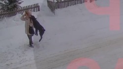 Власти отреагировали на нападение собаки на девочку в Березняках