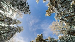 Небольшой снег и умеренный ветер ожидаются в Сахалинской области 1 февраля