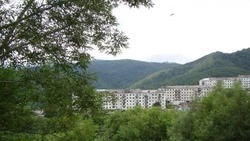 Директор ДГХ ответит на вопросы жителей Синегорска 16 мая