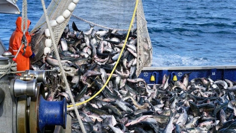 Депутаты Сахалина поддержали мнение Хабаровска о перезаключении договоров на промысел