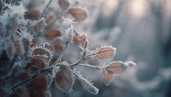 Народные приметы на 22 ноября 2023: что нельзя делать в этот день