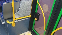 Стекла в новом автобусе не выдержали удара велосипедом в Южно-Сахалинске