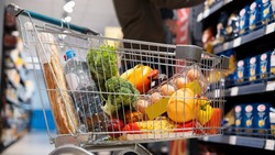 Исследование показало, что 49% россиян связаны со сферой торговли   