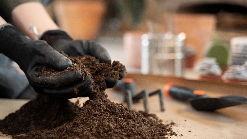 Сахалинский торф рвет рекорды: экспорт в Азию вырос в два раза за год