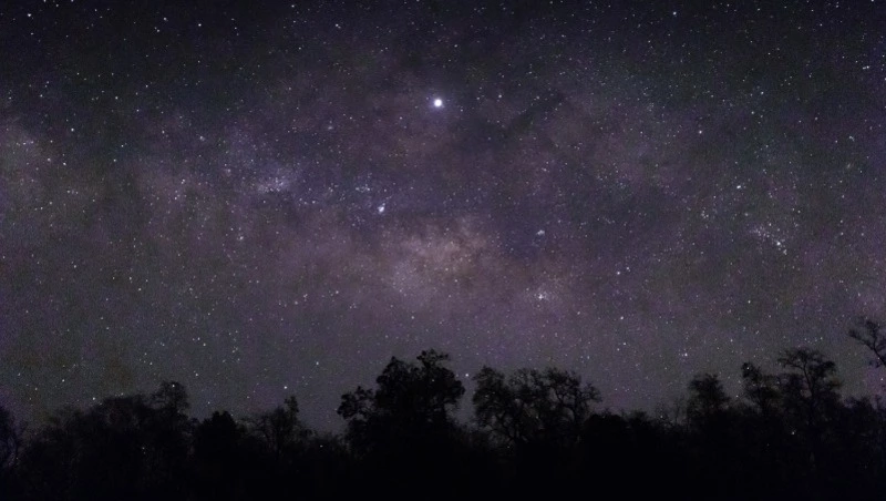 Гороскоп на 1 июля 2025 года для всех знаков зодиака