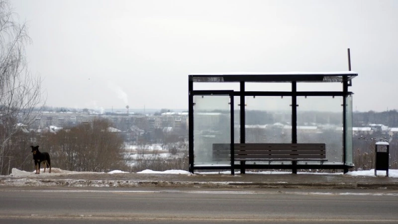 Жильцы ЖК «Горизонт» пожаловались на транспортное сообщение в Южно-Сахалинске и получили ответ