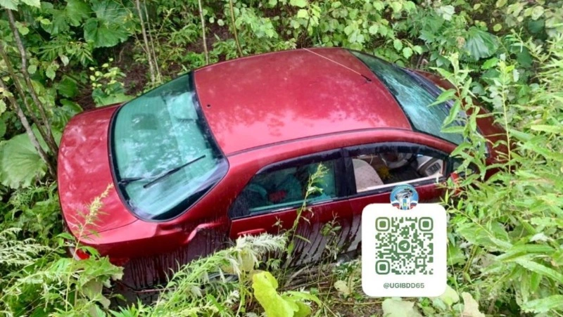 Красная Honda слетела в кювет в Новой Деревне — пострадала водитель