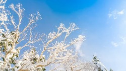 Потеплеет до +8: прогноз погоды на Сахалине и Курилах на 6 марта
