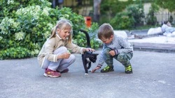 Южно-Сахалинск попал в десятку самых комфортных городов России