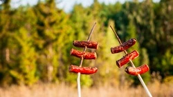 Шашлыки или лыжи? Жители Южно-Сахалинска не выбирают длинные выходные в мае за счет января