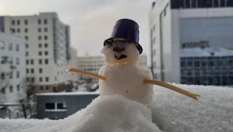 Ветреный день без снега и дождя спрогнозировали синоптики в Сахалинской области 11 января