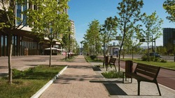 Проект «Формирование комфортной городской среды» продлят в Сахалинской области