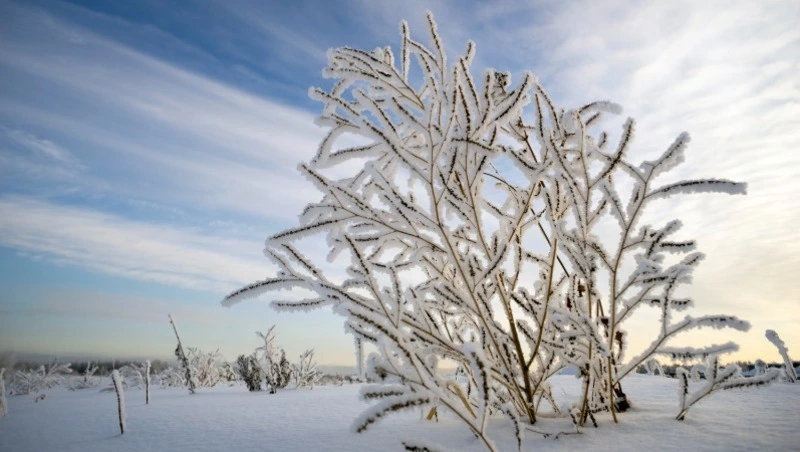 Церковный праздник 2 декабря 2024: что нельзя делать в этот день, приметы