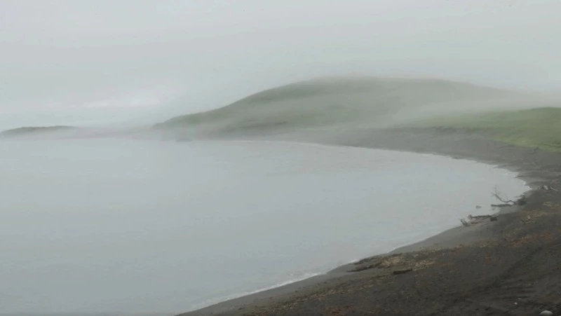 Остров, который решил заговорить: как и зачем создали проект «Шумшу»