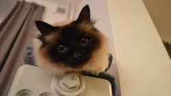 13 домов в Южно-Сахалинске остались без отопления на утро 9 октября