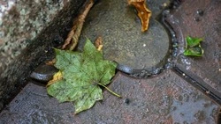 Загрязненный воздух и мороз до –5 градусов накроют Южно-Сахалинск 23 октября