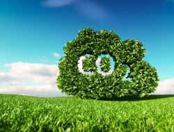 На Сахалине начнут развивать низкоуглеродную экономику