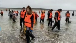 В Минсельхозе предложили ограничить любительский вылов устриц на Сахалине