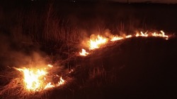 Пожарные ликвидировали 4 случая возгорания травы в разных районах Сахалина 3 мая
