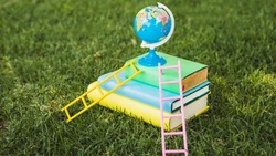 Тест на школьные знания: справится только отличник