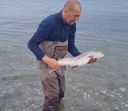 «Домой иди»: рыбаки поймали тайменя на Сахалине и отпустили