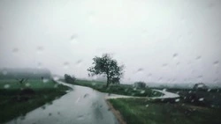 Слабый дождь и пасмурное небо: прогноз погоды в Южно-Сахалинске на 13 июля