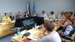 Общественный совет Южно-Сахалинска обсудил актуальные вопросы городской среды