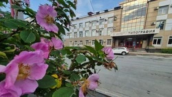 Похолодание и утренний дождь ждет жителей Южно-Сахалинска 27 июня