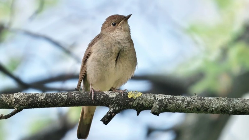  Приметы обо всем на 15 мая 2023 года: что можно и нельзя делать в этот день