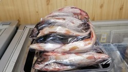 Рыбу по социальным ценам привезли в восемь районов Сахалина и Курил 29 ноября 