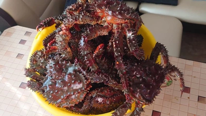 За браконьерскую добычу крабов на Сахалине рыбаки осудили напарника