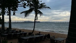 «Каждый год — одно и то же»: сахалинцы из Таиланда рассказали о панике вокруг лихорадки Денге