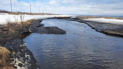Экологи Сахалина нашли фекалии в реке Сиговке