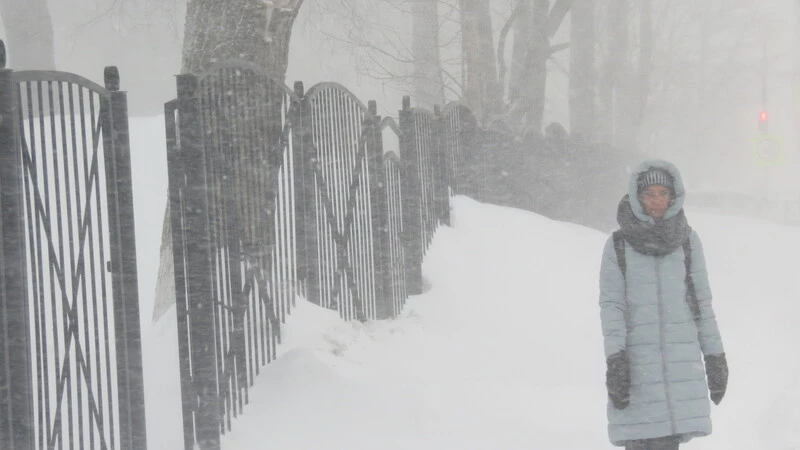 Весенняя метель на Сахалине (ФОТО и ВИДЕО)