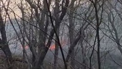 Огромное поле вспыхнуло рядом с «землями многодетных» в Дальнем