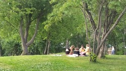 Двое мужчин пристают к девушкам в парке на Сахалине
