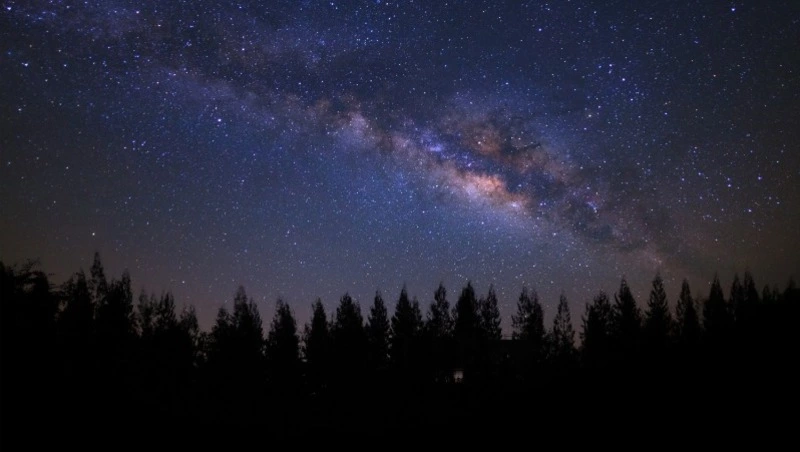 Гороскоп на 20 декабря: Овнам не следует спешить, Рыбам лучше избегать трат