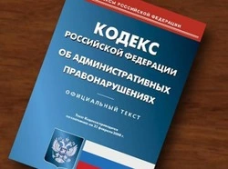 Сахалинку заставили работать за долг по алиментам в полмиллиона рублей