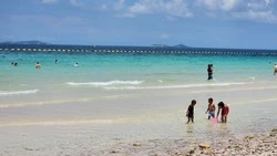 После укрепления рубля сахалинцы чаще заходят на сайты туроператоров