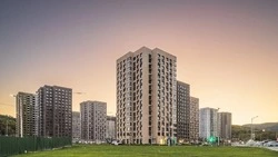 Южно-сахалинский «Уюн парк» вышел в интернет на высоких скоростях