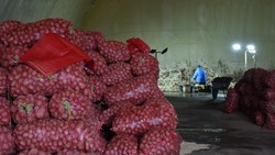 В Поронайском районе подвели итоги уборочной кампании