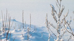 Синоптики пообещали новые морозы на юге и севере Сахалина 24 января