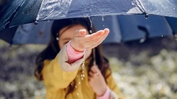 Дождь на Сахалине и солнце на Курилах: точный прогноз погоды на 1 июня