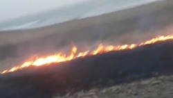 Полоса огня разгорелась вдоль трассы в Томаринском районе Сахалина