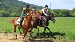 Имена победителей соревнований «Золотая подкова» назвали в Сахалинской области
